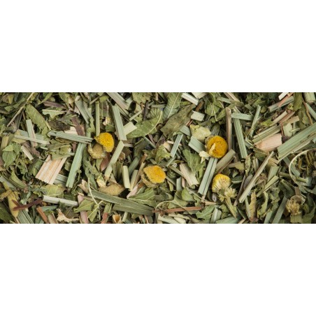 Relaxing herbal evening tea with chamomile, verbena and passionflower