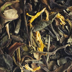 white tea cookie vanila