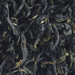 Taiwanese oolong tea grand cru in bulk.