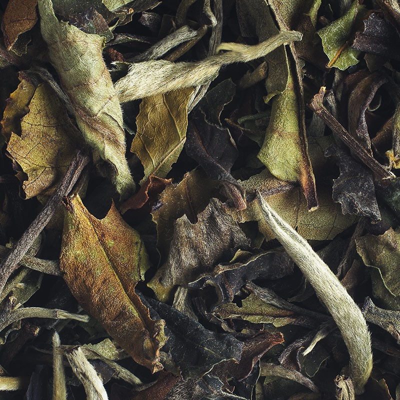 Pai Mu Tan (or Bai Mu Dan): An Organic White Tea from China
