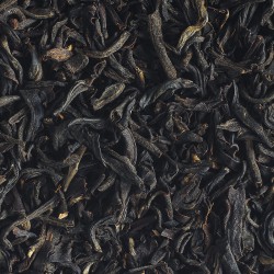 GFOP Golden Yunnan: a Strong Organic Black Tea from China