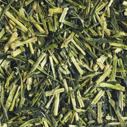 Kukicha | Thé vert bio japonais en vrac faible en théine