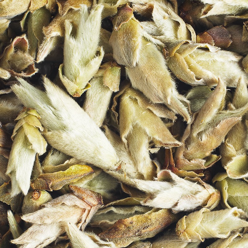 Nan Mei: Wild White Tea from China - Organic | L'Autre Thé