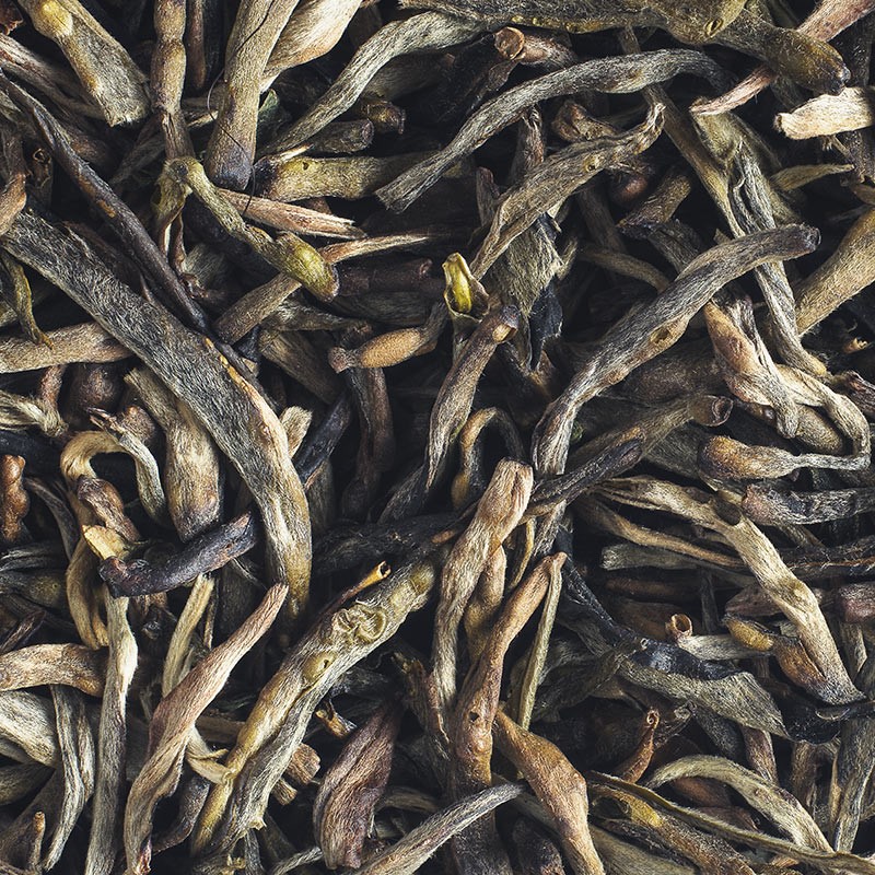 Bua Li Lam: Wild White Tea from Laos | L'Autre Thé
