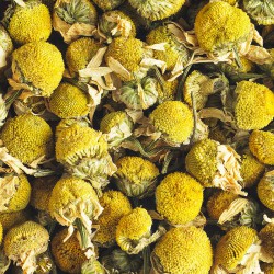 Infusion de fleurs de camomille certifié bio.