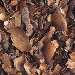 Organic cocoa beans' peels