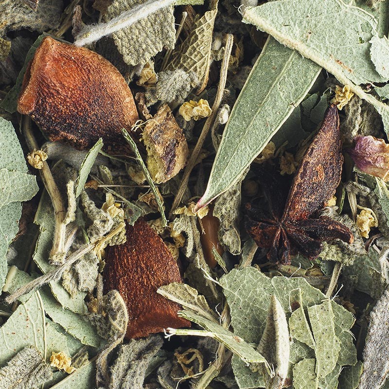 Tisane à l'eucalyptus bio