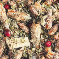 Infusion de bourgeons de pin bio