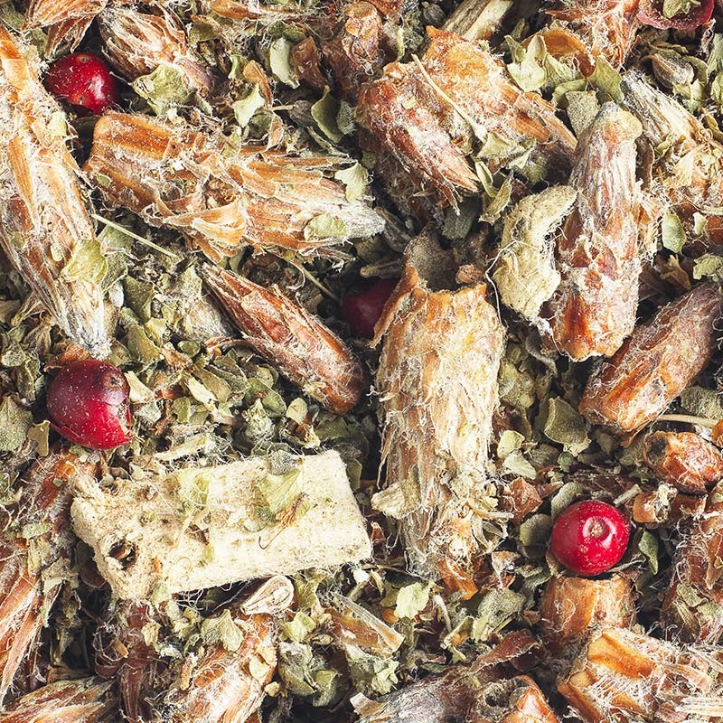 Organic pine bud infusion