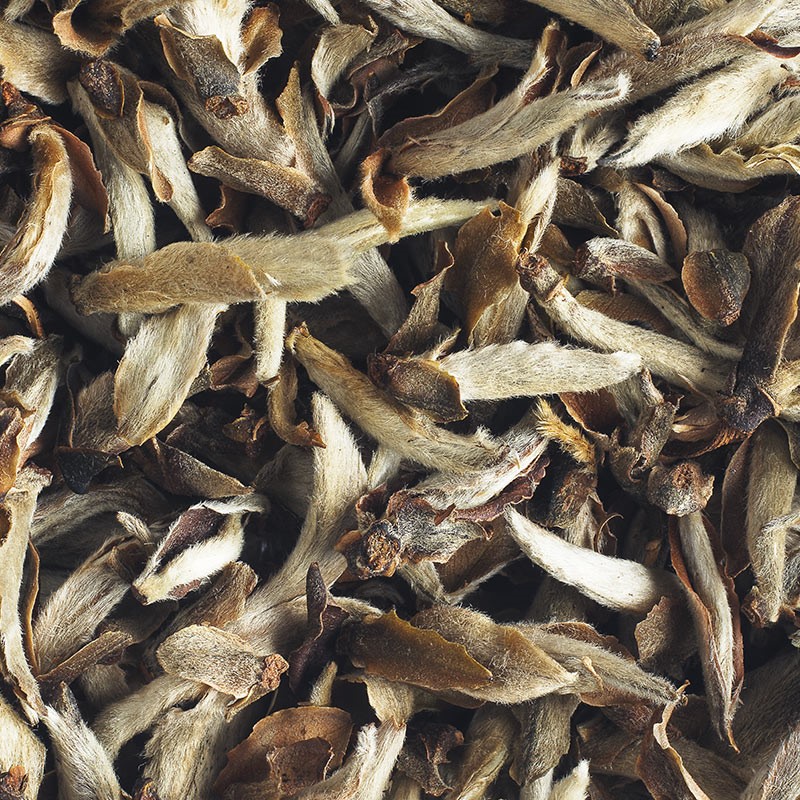 White Fairy Tea from Vietnam - Organic | L'Autre Thé