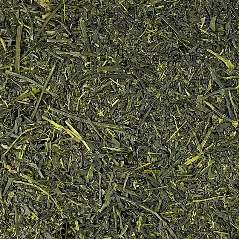 Organic Japanese green tea harvest 2024.