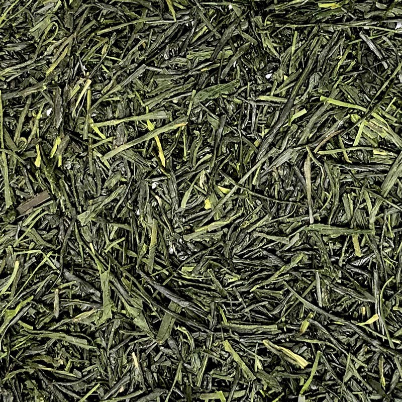 Organic Sencha green tea grand cru from Japan in bulk.