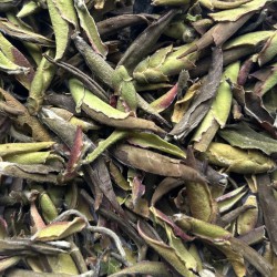 Grand cru de thé vert du Vietnam en vrac.