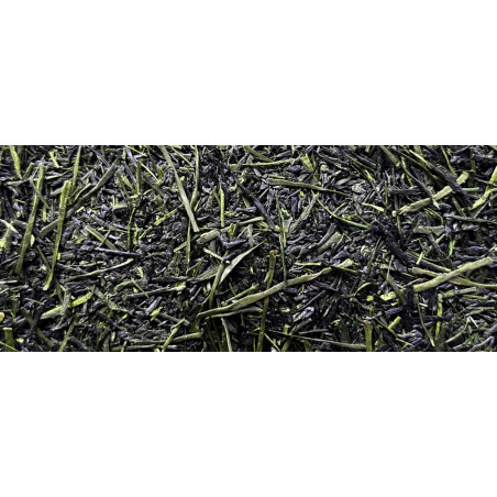 Organic Sakimidori Sencha -...