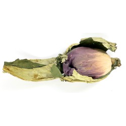 Vietnamese black tea in a whole lotus flower