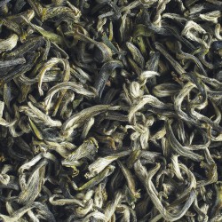 Duyun First Flush 2025: Chinese Green Tea with Fluffy Tips