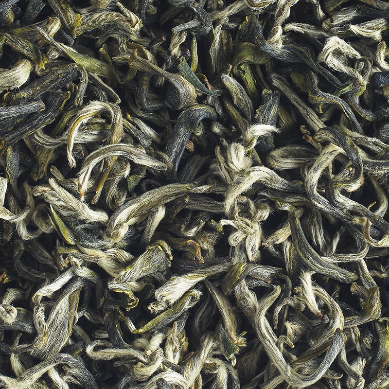 Duyun First Flush 2025: Chinese Green Tea with Fluffy Tips