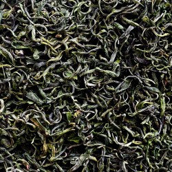 Guizhou Mao Feng 2025 firstflush tea