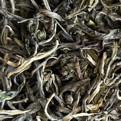 Phoenic Lincang 2025 firstflush tea