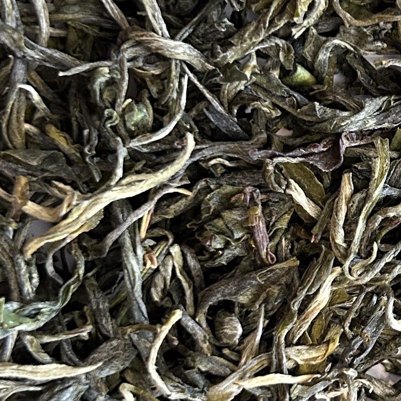 Phoenic Lincang 2025 firstflush tea