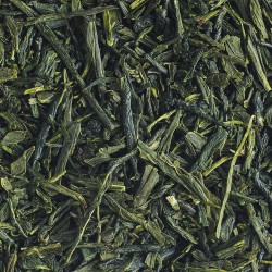 Thé vert japonais bio Sencha Kashiwagi