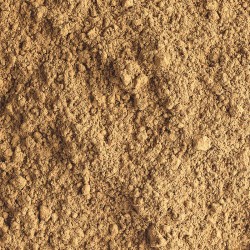 Hojicha en poudre bio