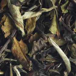Pai Mu Tan bio