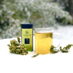 Lemon-Thyme Herbal Tea: Organic & Harvested in France