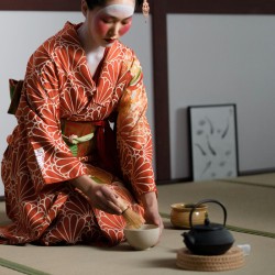 Thé bio Matcha cérémonial Kiritsubo bio