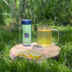 Thé détox bio : Thé vert et blanc bio aux plantes drainantes