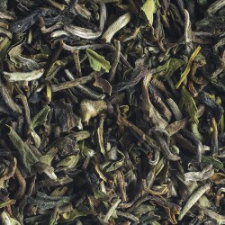 Organic Singell Darjeeling First Flush 2025