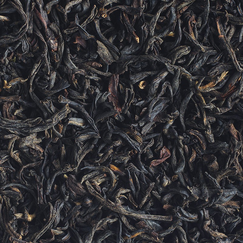Ilam mountain bio - Népal