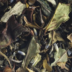 Thé blanc & vert bio : Vanille et lavande | L'Autre Thé