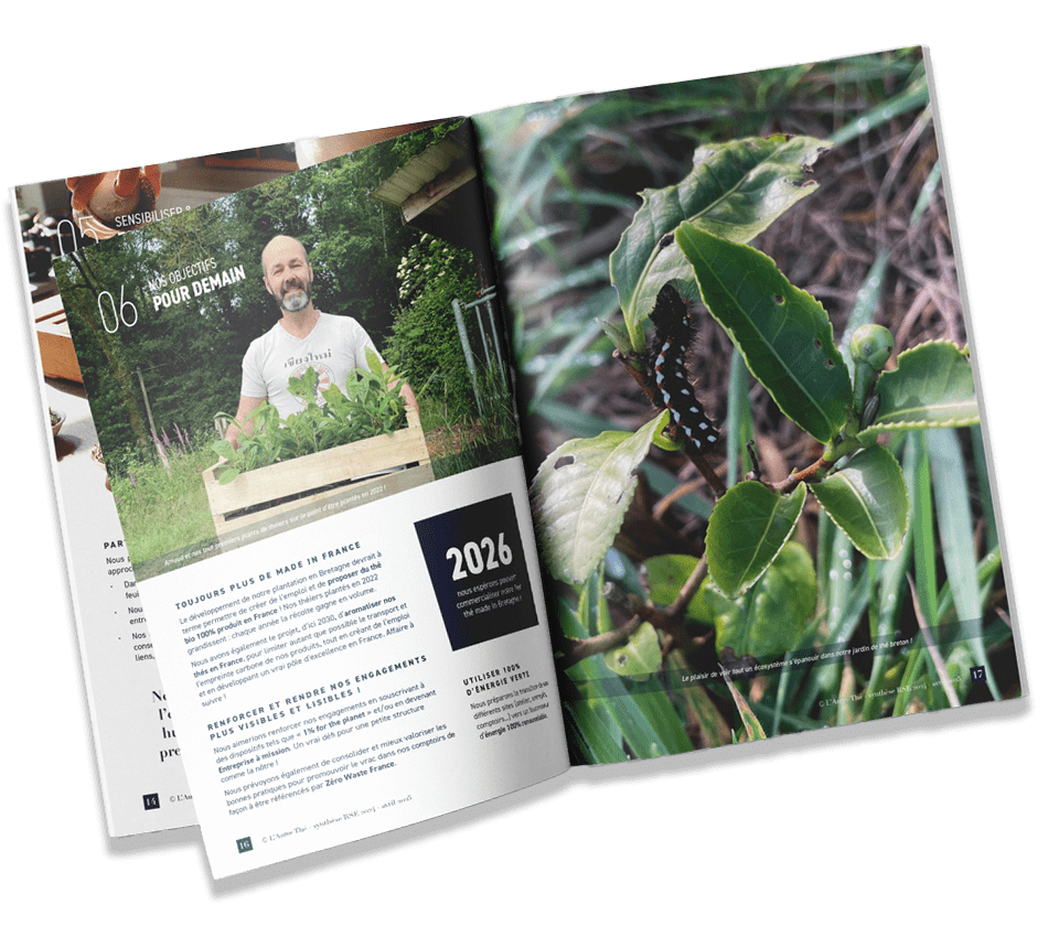 Image CMS