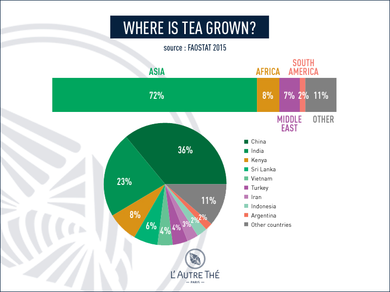 D'où vient le thé de Noël ? – Colors Of Tea – Le blog