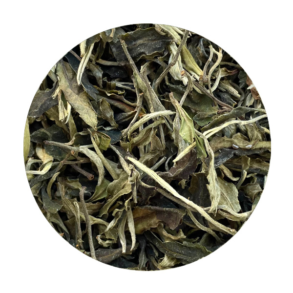 Thé blanc : la quintessence du thé