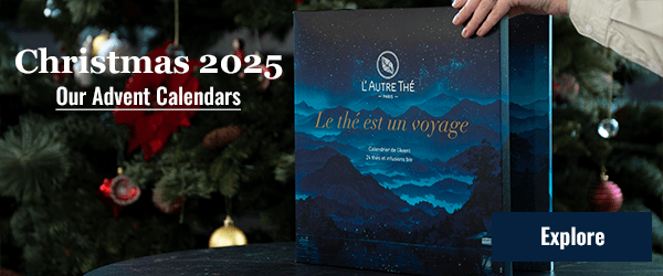 2025 Advent Calendars