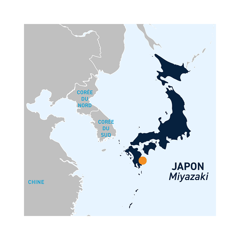 DiaporamaJaponMiyazaki.png