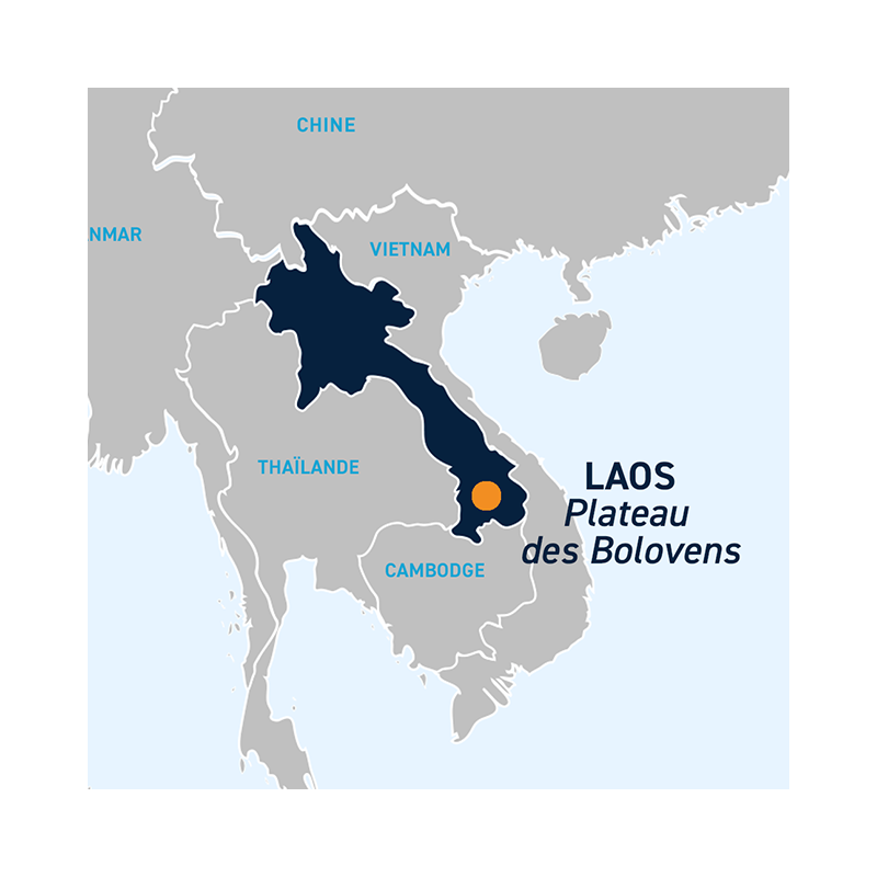 DiaporamaLaosBolovens.png