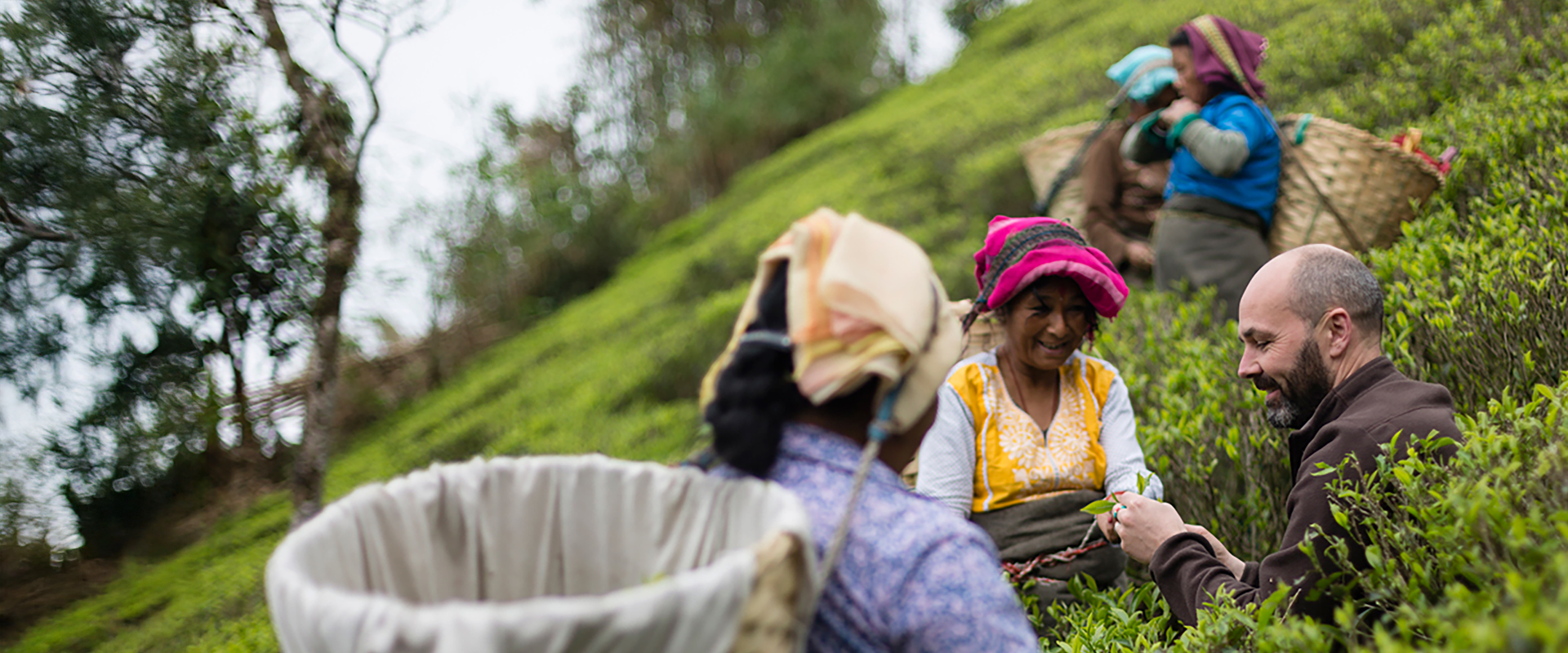 Ethical &amp; natural teas