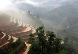 VIETNAM : fées et dragon