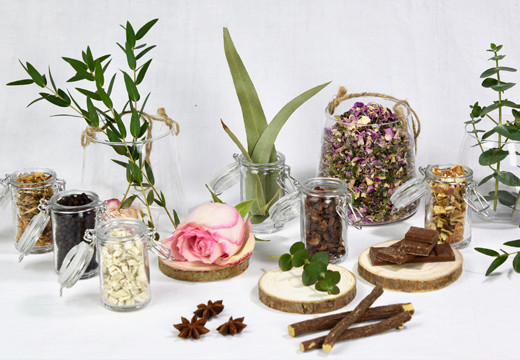 Bienfaits des plantes : petit guide de nos tisanes bio